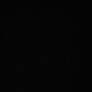 Meet your Posher, Callie